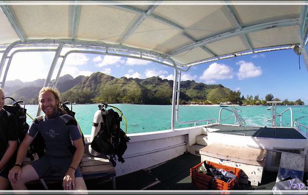 Départ pour une plongée à l'entrée de la baie d'Opunohu - Moorea - Polynésie française