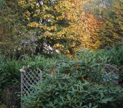 Autour de mon jardin