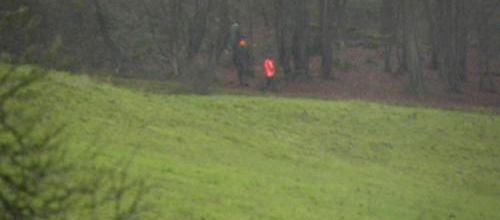 Scènes de chasse!