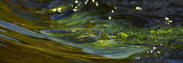 Tabl'Eau