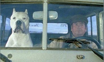 El Perro - film de 2005 -