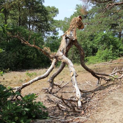 Land Art 2025 à Buthiers