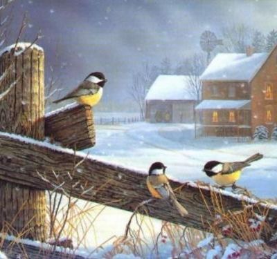 BONNE ANNEE ... quand même ...