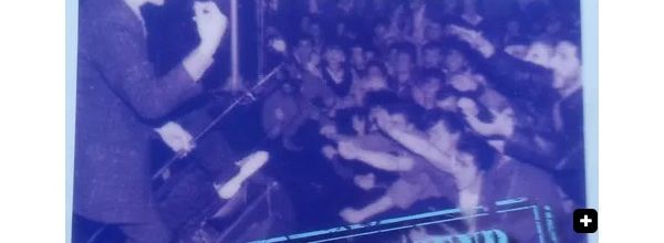 NEWS Crazy cavan & The Rhythm Rockers