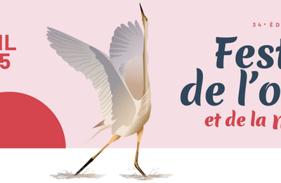 "Le jardin sauvage" et sept autres films du Festival de l'Oiseau sur Salamandre.tv 