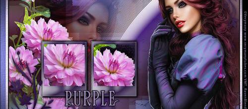 Purple