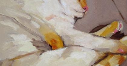 Tableau du samedi : Chat Abricot