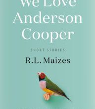 Download textbooks free online We Love Anderson Cooper: Short Stories 9781250304087 by R.L. Maizes
