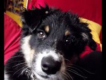 Jour de pluie