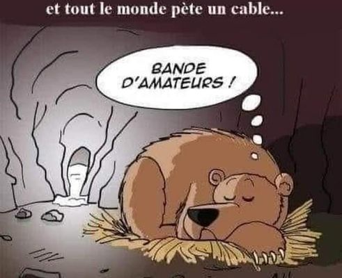 Pour les râleurs confinis : prenez exemple sur l'ours. Il accepte sa condition, lui !