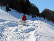 Montagne de Lure "again"