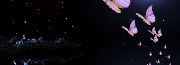 Bonne nuit