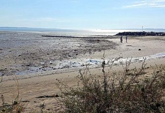 plages de Marennes (17)