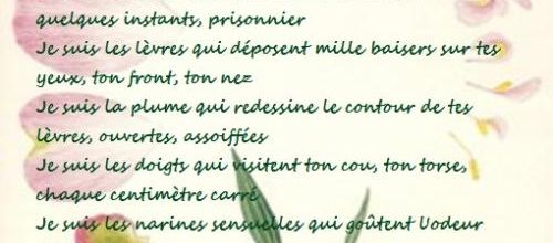 Métamorphoses - Théa d'Albertville