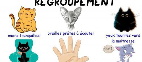 Règles du regroupement pour chatons