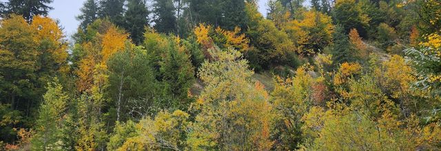 CR rando vendredi journée 10 octobre: le Julioz