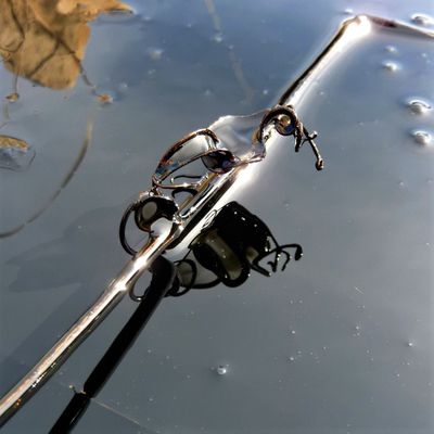 Photographies / Expositions passées