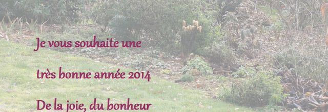 Voeux pour 2014