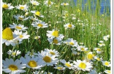 Soleil et que du bleu, et vendredi 13 !