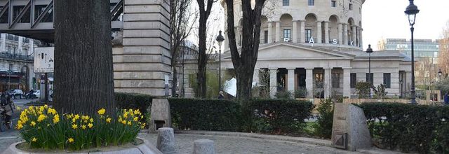 Le tilleul de la Libération, Place de la Bataille de Stalingrad - Paris 19e