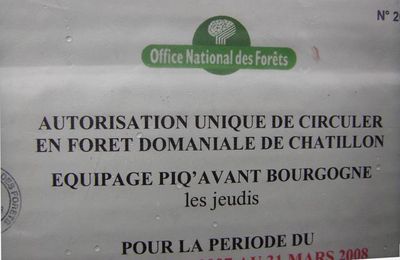 La chasse à courre vue par Pierre Magès....