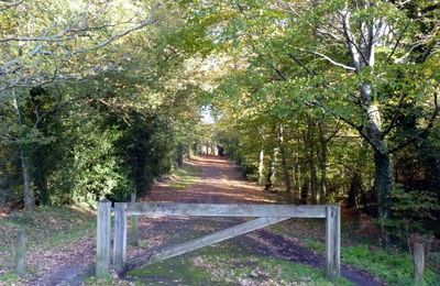 Dans le rayon du confinement : le parc de la Desnerie