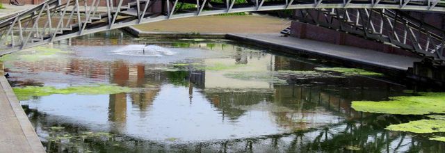 Défi reflets  N°1 / 2024