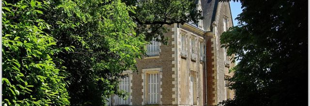 85 . Vendée - Les Essarts (5) - Le château du XIX°