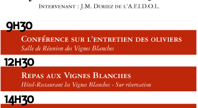 Journée autour de l'olivier