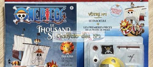 N° 1 Construisez le Thousand Sunny One Piece - Test
