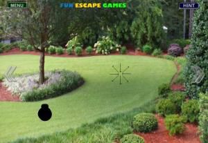 Beautiful forest park escape