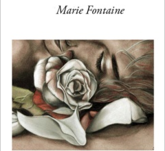 Gemini, le roman de Marie Fontaine