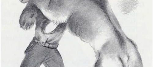 Le combat de Bullit et du lion (Joseph Kessel)
