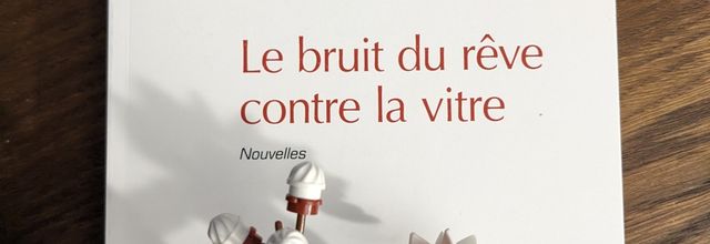 Le bruit du rêve contre la vitre, Axel SENEQUIER