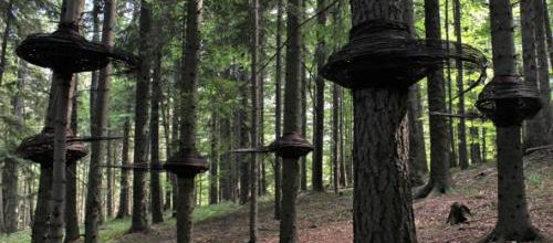 Land Art selon Miroslaw Maszlanko