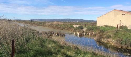 Salines de Villeneuve (Herault)