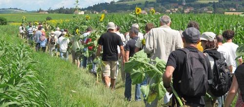 Info en partage : Les plantes mutées arrivent en force !
