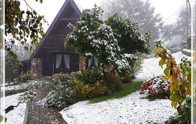 Hier l'été, aujourd'hui, l'hiver : à 600 m d'altitude, ce 28/10/2018 - Lartigau - Milhas - 31
