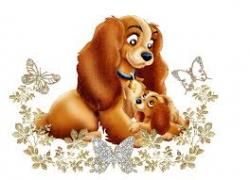 ATC Monochrome 11/12