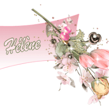 Signature animee tulipe rose