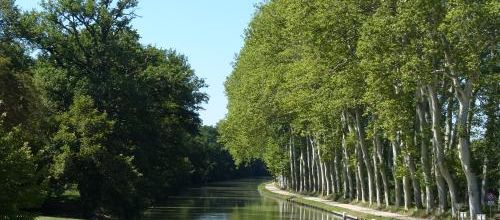 "Sur le Canal" ... 