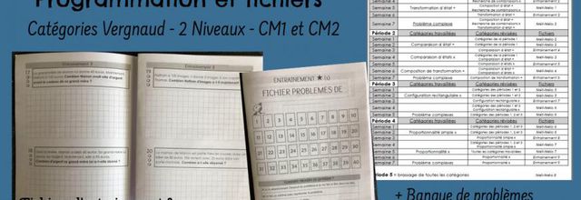 Résolution de problèmes : programmation et fichiers (Vergnaud) 