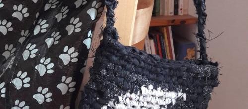 Un petit sac de lune