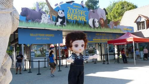 Balade en Touraine . Beauval (3)