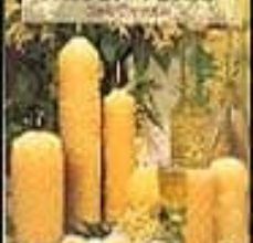 Descargar PDF GUIA DEL PRINCIPIANTE PARA HACER VELAS