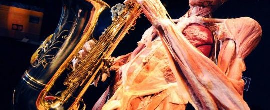 541. Pièces détachées