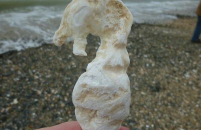 promenade sur la plage