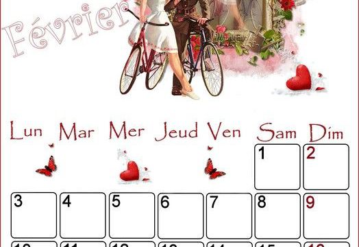 LE MOIS DE FEVRIER 2014
