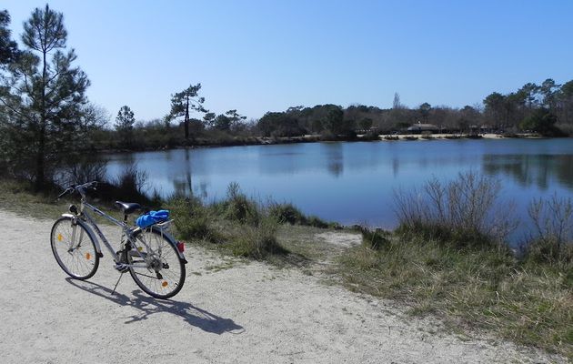 Ballade à vélo dans le marais de Saint-Brice