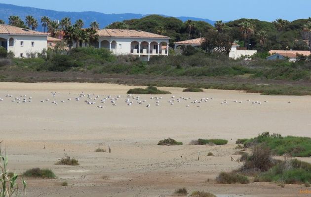 Randonnée pour aller à Hyères  -1